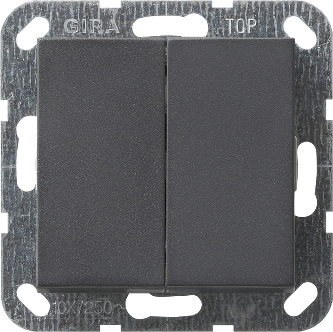 Gira Tast-Serienschalter anth System55 012528