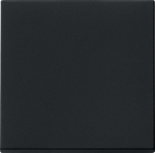 Gira Wippe sw 0296005 Gira Wippe sw 0296005