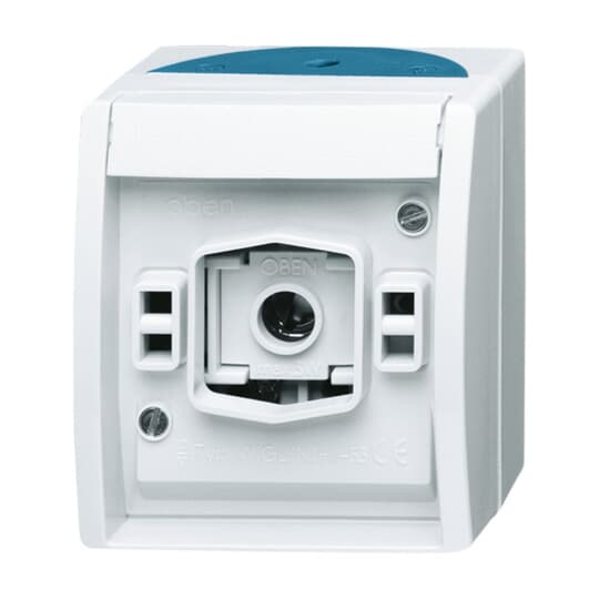 Busch-Jaeger Lichtsignal ohne Haube AP 2661 W-53