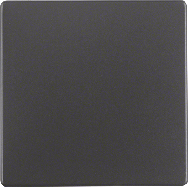 Berker Wippe anth/sa 16206086 günstig online kaufen