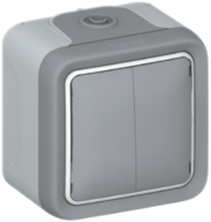 Legrand Doppelwechselschalter AP, 10A,250V, IP55 069715 günstig online kaufen