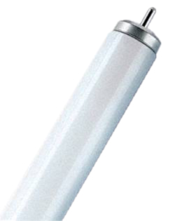 Scharnberger+Hasenbein Leuchtstofflampe T12 38x1500mm FA6 65W Ex 45238