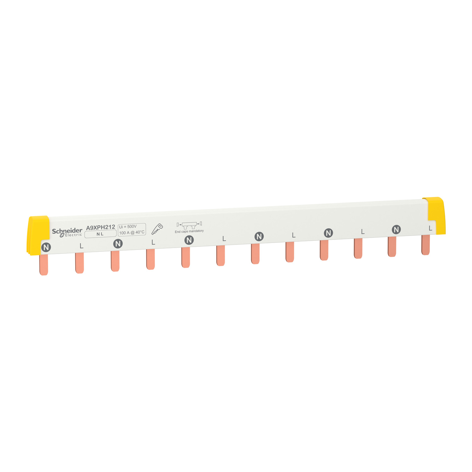 Schneider Electric Phasenschiene Steg ablängbar, 2P, 12 TE A9XPH212