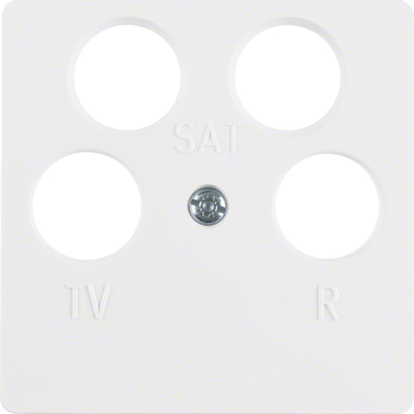 Berker Zentralplatte pws 4 Loch 14841909 günstig online kaufen
