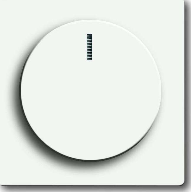 Busch-Jaeger Zentralscheibe stws mt für Drehdimmer 6540-884-102 - 2CKA00659 günstig online kaufen