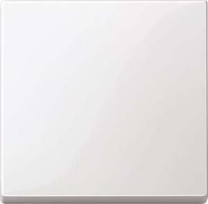 Merten Wippe pws/gl 432119 Merten Wippe pws/gl 432119