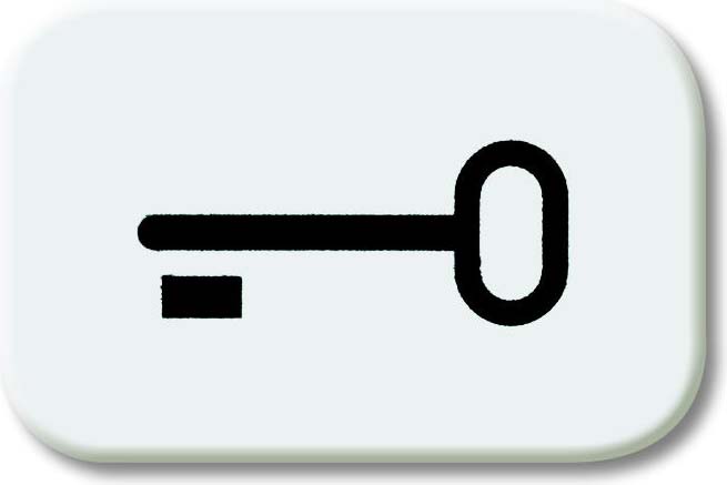 Busch-Jaeger Tastersymbol aws Schlüssel 2525 TR-214 - 2CKA001433A0044 günstig online kaufen