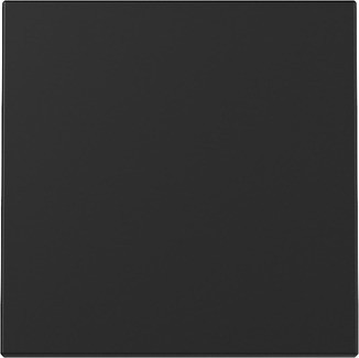 Gira Wippe Schwarz m 3296005 - 3296005