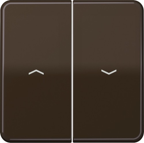 Jung Wippe Symbole br für Taster CD 595 P - CD595PBR