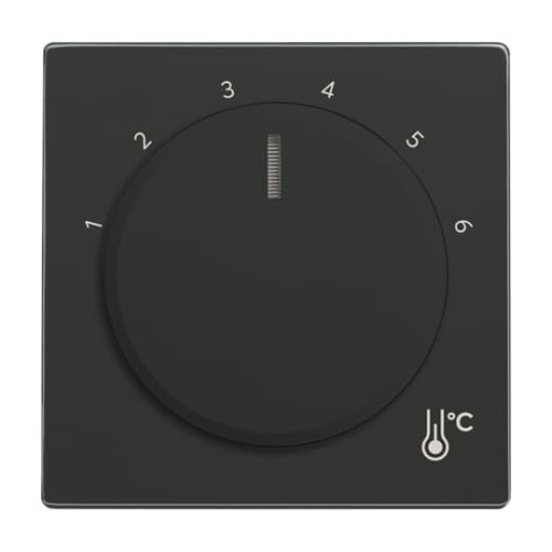 Busch-Jaeger Zentralscheibe Temperatur, rund 1794 R-81 - 2CKA001710A4198