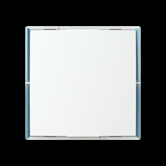 Busch-Jaeger Keypad Bedienelement 1..4 Steuerfunktionen Bus KK/U4.55.11
