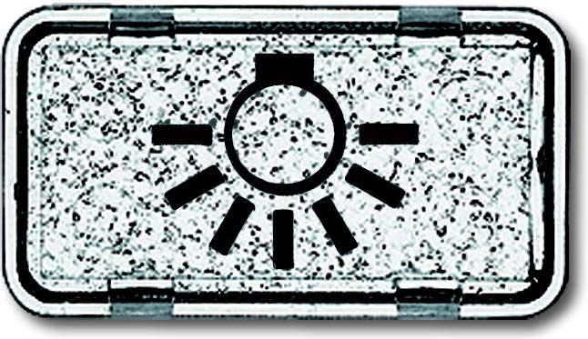Busch-Jaeger Tastersymbol Licht 2622 LI-101 - 2CKA001714A0260 günstig online kaufen