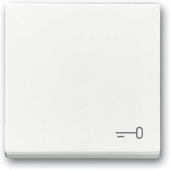 Busch-Jaeger Wippe mit Aufdruck studioweiß 2520 TR-84 - 2CKA001751A3199