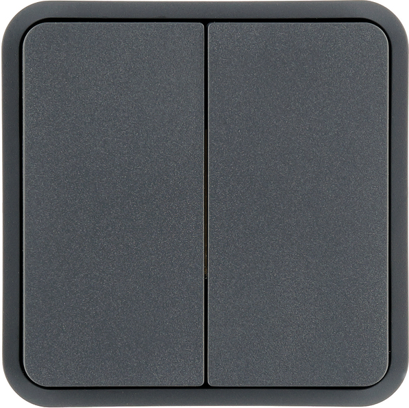 Berker Wippe 2-fach, grau 30553545