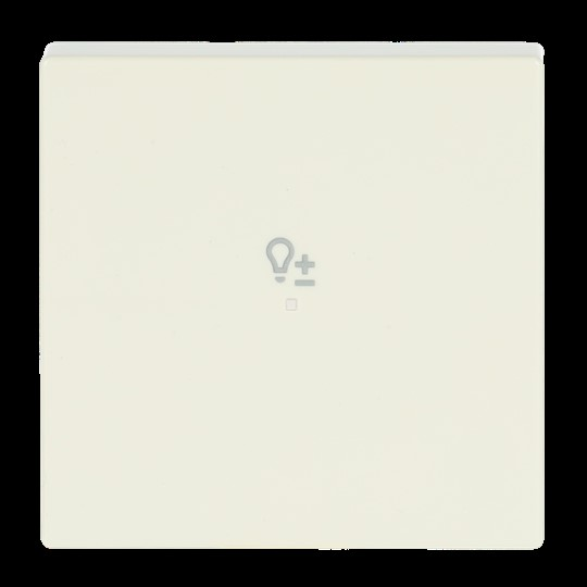 Busch-Jaeger Wippe elf/ws future linear 6234-10-82