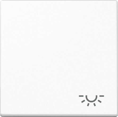Jung Wippe Symbol LICHT aws für Schalter/Taster A 590 L WW - A590LWW