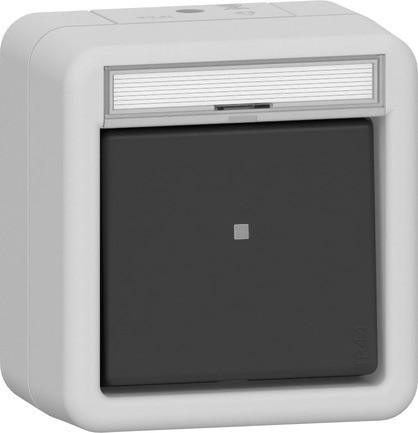 Gira Wipptaster Schließer sMK BSF WG AP Grau 315230 - 315230