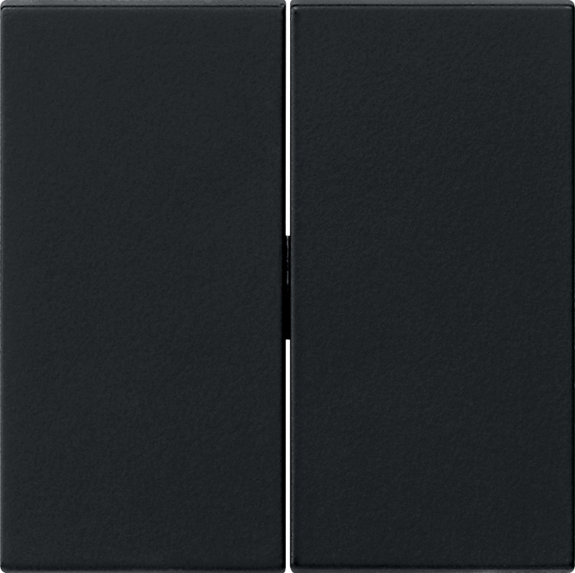Gira Wippe 2fach Tastschalter System 55 sw 0915005 günstig online kaufen
