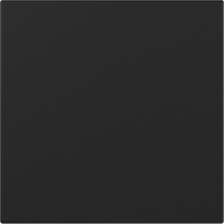 Gira Wippe gerade Schwarz m 3496005 - 3496005