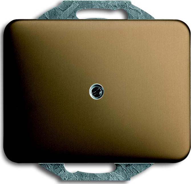 Busch-Jaeger Zentralscheibe brz Blindabdeckung 1742-21 - 2CKA001753A1431 Busch-Jaeger Zentralscheibe brz Blindabdeckung 1742-21 - 2CKA001753A1431