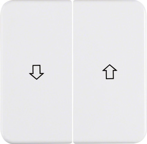 Berker Wippe pws 155229 - 155229