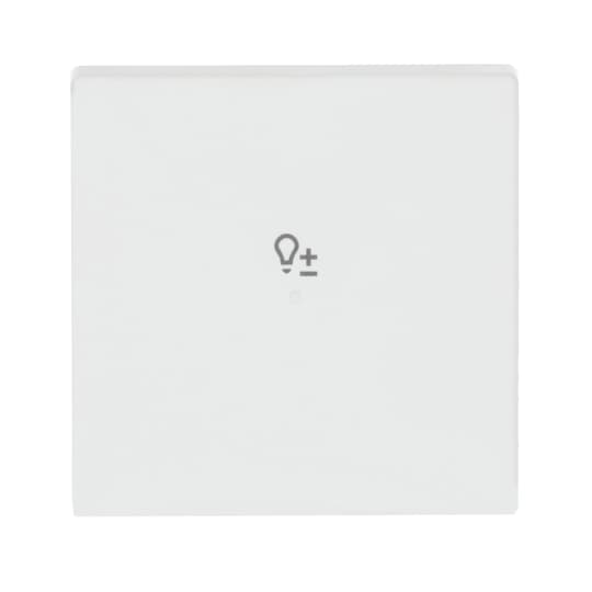 Busch-Jaeger Wippe studiows mt future linear 6234-10-884