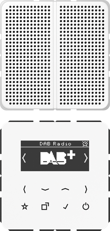 Jung Smart DAB+ Digitalradio Display,SetMono,1LS DAB CD1 WW