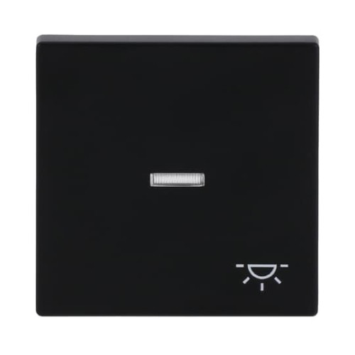 Busch-Jaeger Wippe sw mt mit Symbol Licht 1789 LI-885 - 2CKA001751A3045