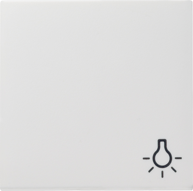 Gira Wippe Licht rws System55 028527 günstig online kaufen