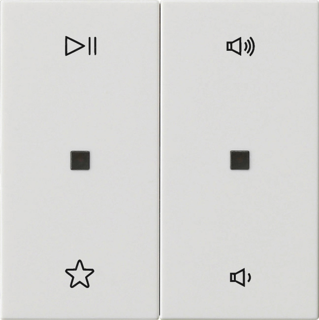 Gira Wippe 2f Audiostrg Reinweiß 538403 günstig online kaufen