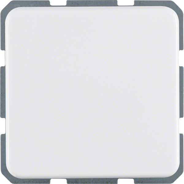 Berker Schuko-Steckd.pws mit Klappdeckel 471609 günstig online kaufen