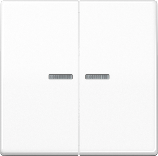Jung Wippe Lichtleiter aws für Taster AS 591-5 KO5 WW - AS591-5KO5WW günstig online kaufen