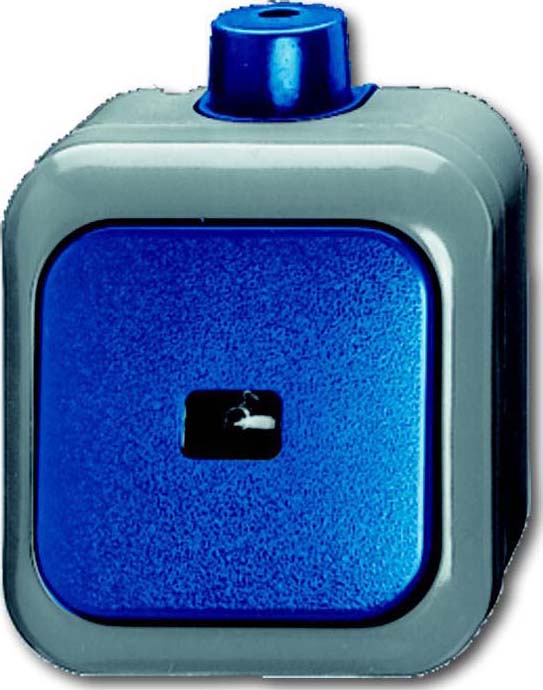 Busch-Jaeger Wipptaster Schliesser 1pol. AP 2621 WDI - 2CKA001483A0171 günstig online kaufen