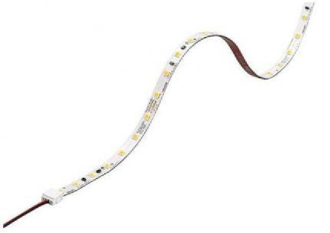 Tridonic LED-Tape LLE FLEX G2 8x4800 7W-1200lm/m 865 ADV (4,8m Rolle) - 280 günstig online kaufen