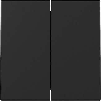 Gira Wippe 2f Schwarz m 3295005 - 3295005