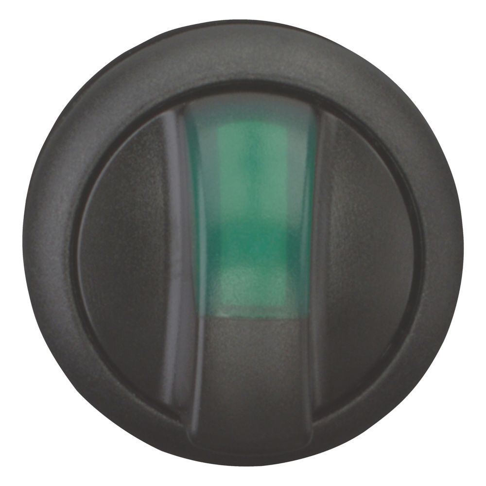 Eaton Leuchtwahltaste m.Knebelg. 2 Stell.,grün M22S-WRLK-G