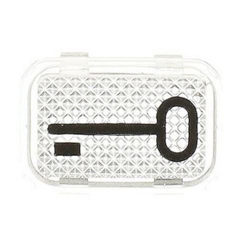 Busch-Jaeger Tastersymbol Schlüssel 2145 TR - 2CKA001714A0237