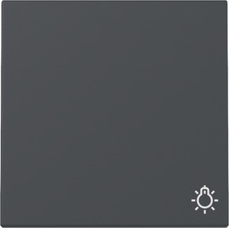Gira Wippe Symb. Licht Anthrazit 328528 - 328528