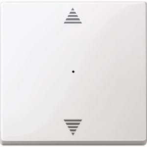 Merten Wippe pws/gl 1f,Pfeile,Syst.M MEG5215-0319 günstig online kaufen
