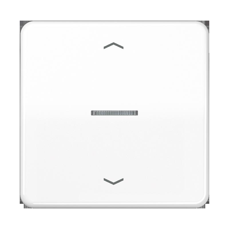 Jung Taster 1fach HOME BT CD 17101 P WW