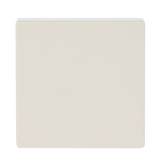 Busch-Jaeger Wippe elf/ws future linear 6230-10-82