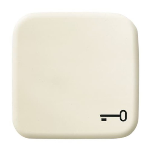 Busch-Jaeger Wippe ws mit Symbol Schlüssel 2520 TR-212 - 2CKA001731A0298