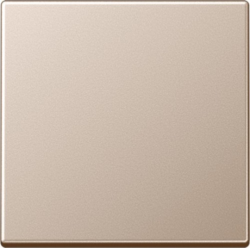 Jung Wippe champ. für Taster A 590 CH - A590CH