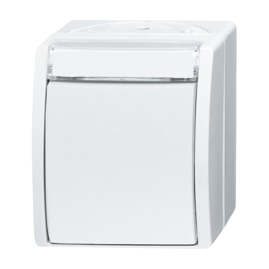 Busch-Jaeger Wechselschalter 2601/6 WN-54 günstig online kaufen