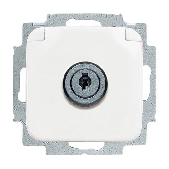 Busch-Jaeger Steckdosen-Einsatz aws 20 EUKSL-214 günstig online kaufen