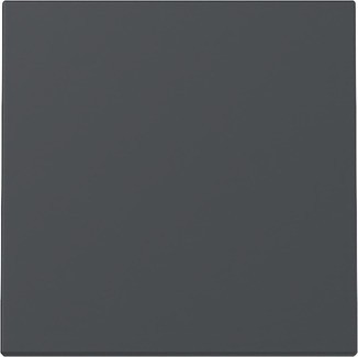 Gira Wippe Anthrazit 329628 - 329628