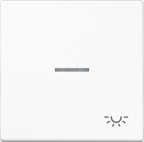 Jung Wippe Sym.LICHT/Lichtl.aw für beleuchtb.Taster LS 990 KO5 L WW - LS990KO5LWW