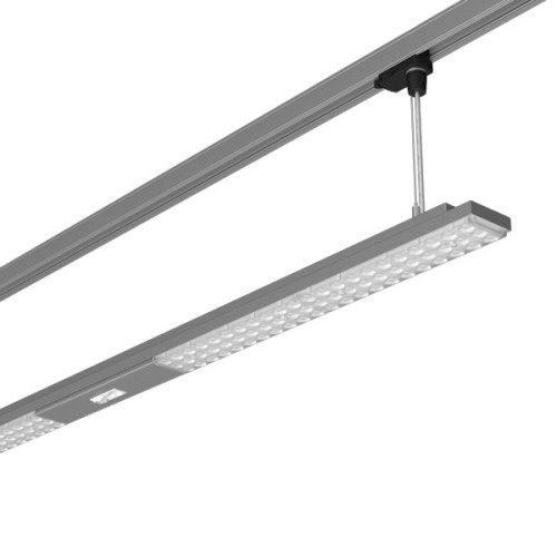 LTS Licht&Leuchten LED-Pendelleuchte 830, DALI LUZP1510683060ORGRsi - 65940 günstig online kaufen