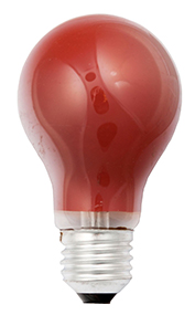 Scharnberger+Hasenbein Glühlampe B60x105mm E27 230V 25W rot 40245