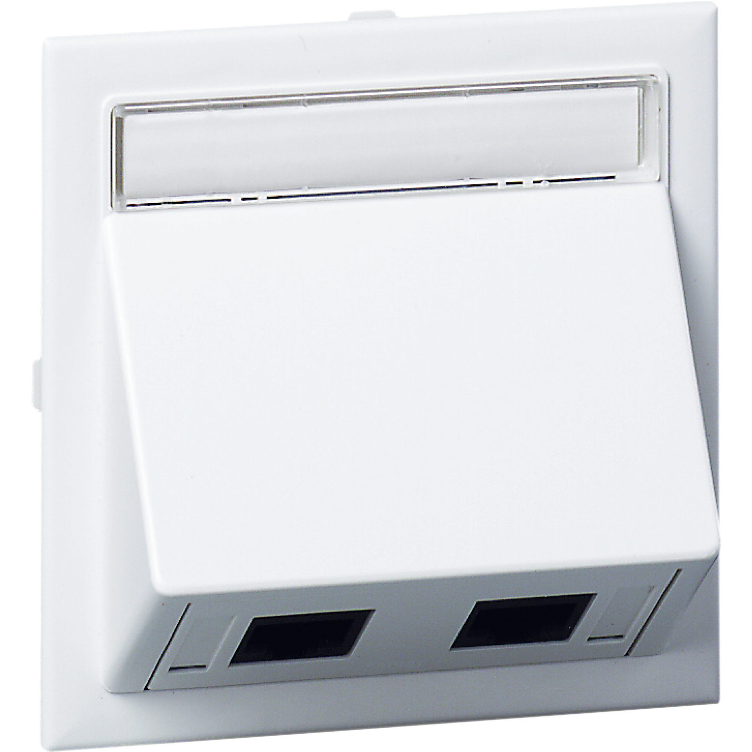 Schneider Electric Anschlusssatz schräg weiß 2XActassi 250 cat6 INS60500